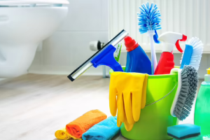 Messie Reinigung Stade