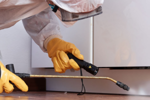 Messie Schädlingsbekämpfung Stade